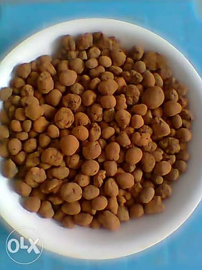حصو طينى طبيعى لنباتات الظل الداخلية