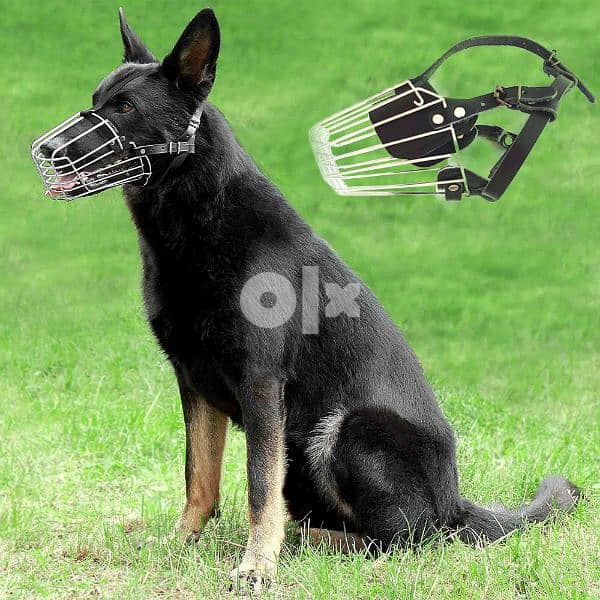 Dog Walking Mask ماسك تمشية للكلاب 2