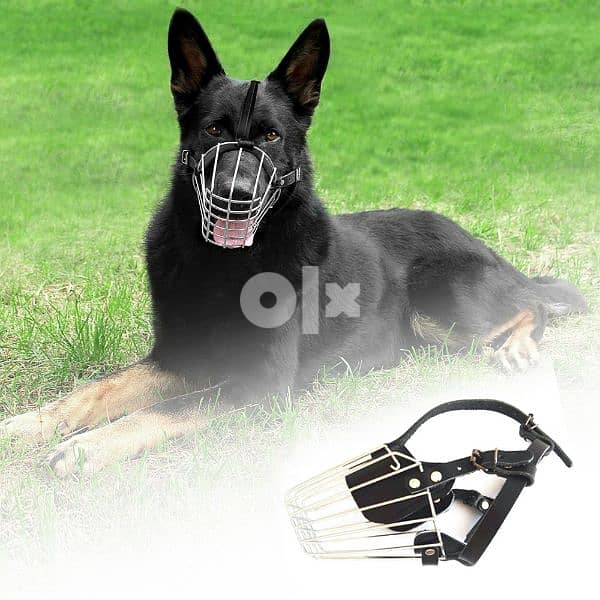 Dog Walking Mask ماسك تمشية للكلاب 3