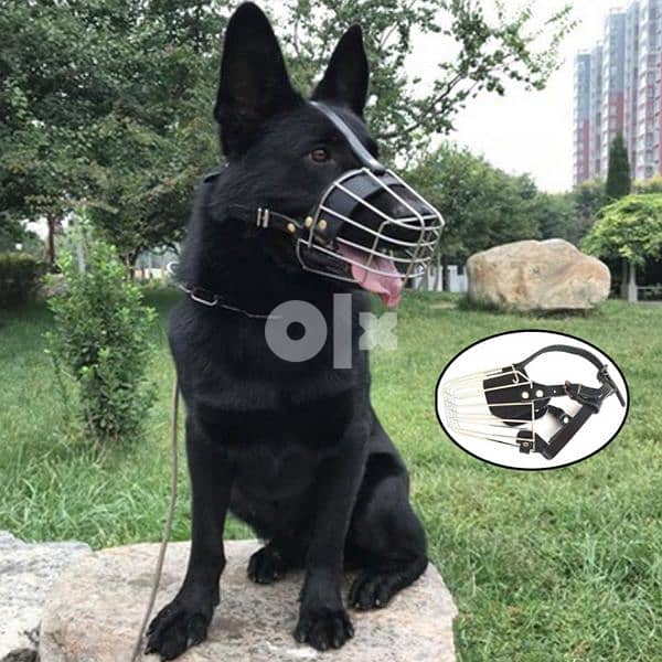 Dog Walking Mask ماسك تمشية للكلاب 4