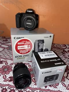 كاميرا كانون ٢٥٠ دي canon 250d 0