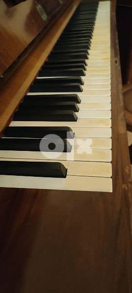 Hofmann piano 4
