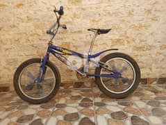 Cobra Bicycle / عجلة كوبرا ى 0