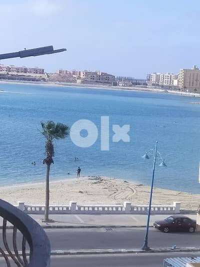 شقه للايجار المصيف في منطقة الفيروز