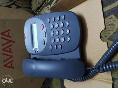 IP Telephony AVAYA تليفون أڤايا