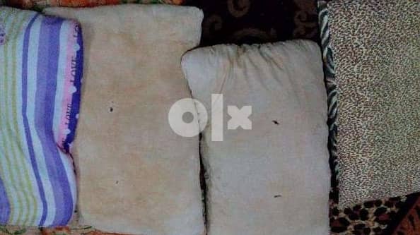 المخدة قطن 2
