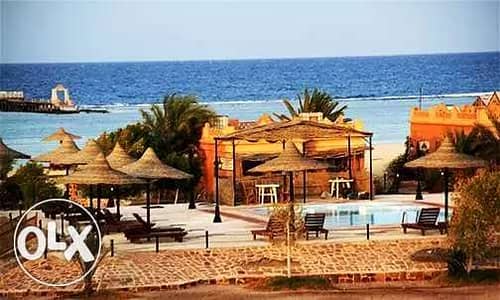 For sale or sharing a tourist resort on the sea in Marsa Alam