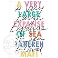 A Very Large Expanse of Sea 0