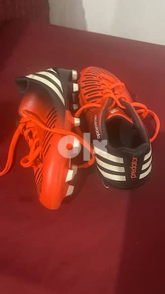Adidas Shoes