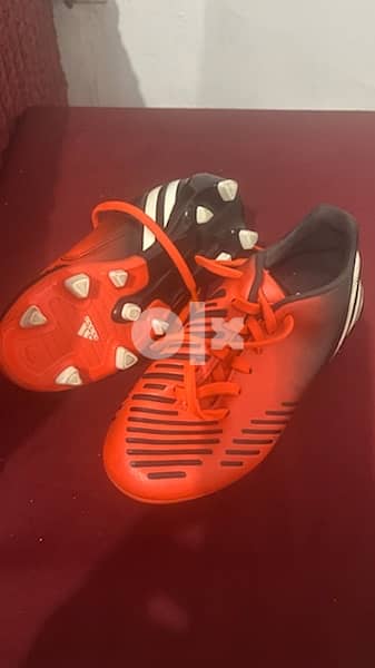 Adidas Shoes 1