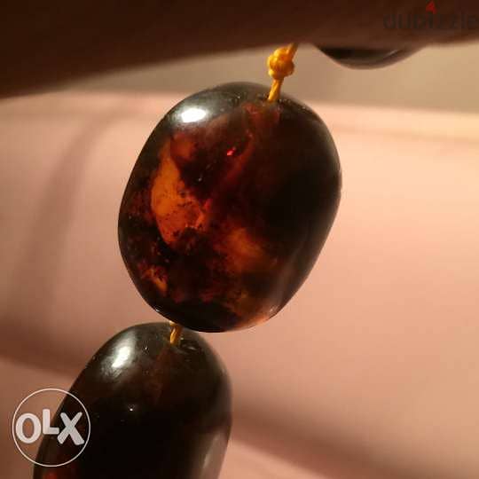 عقد كهرمان اصلي قديم حشري خراطة روسي antique natural amber necklace 6