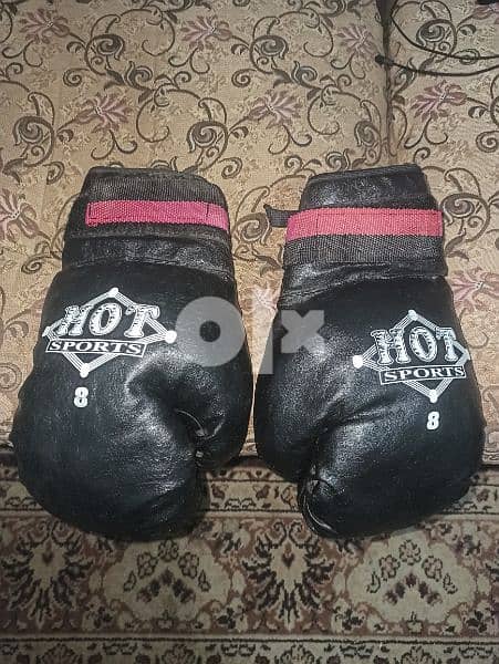 Boxing Bag with Boxing Gloves 1