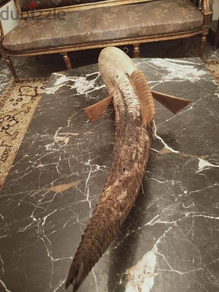 منحوتة من قرن الجاموس . وارد نيجيريا عام 1970. الطول 80 سم . نادرة 2