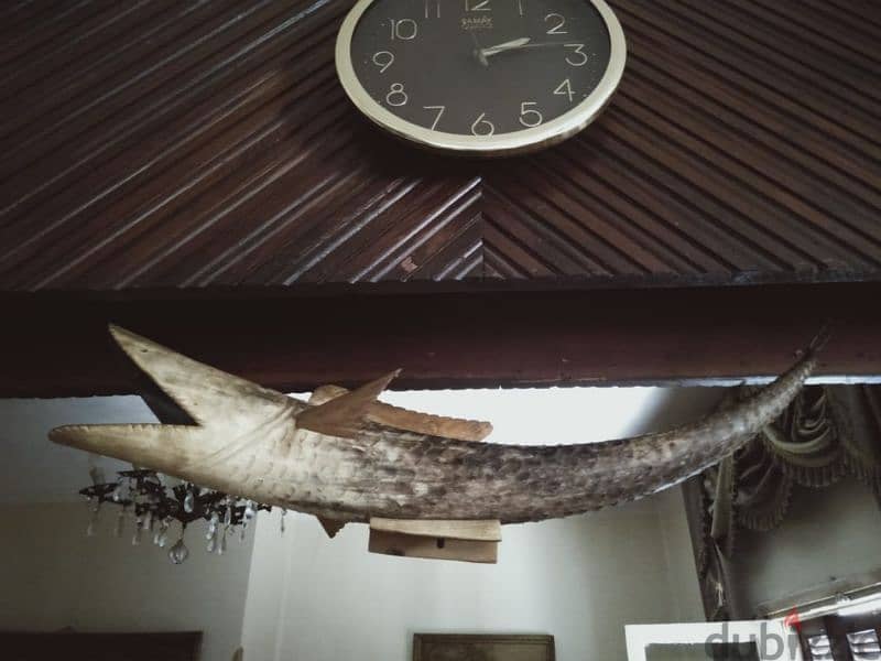 منحوتة من قرن الجاموس . وارد نيجيريا عام 1970. الطول 80 سم . نادرة 7