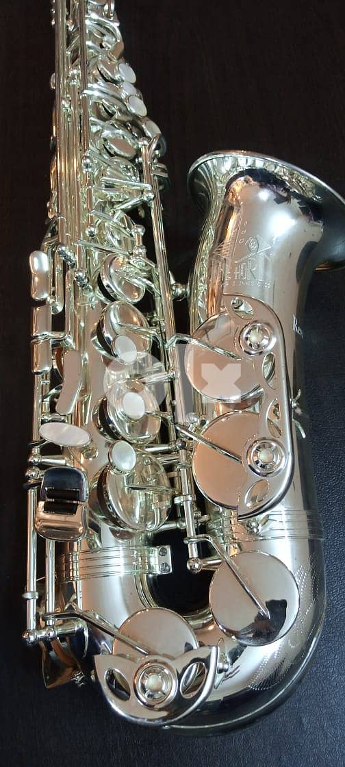 saxophone alto original professional used USA made ساكسفون ألتو امريكي 10