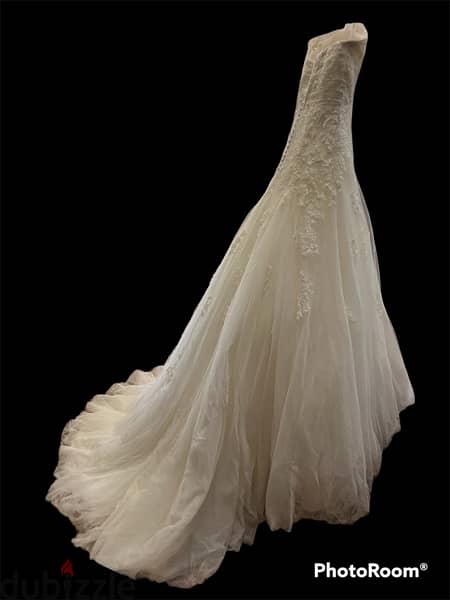 Pronovias Wedding Dress 1