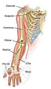 كورس شامل طب عظام 1