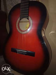 Suzuki Guitar 0