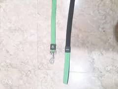 Doco Medium Green Signature Nylon Leash 0