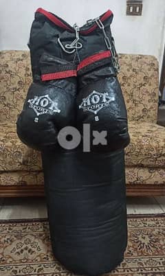 Boxing Bag with Boxing Gloves 0