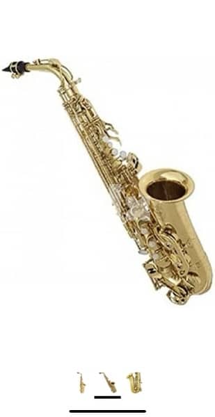 Suzuki - Deluxe Saxophone - ALTO 1