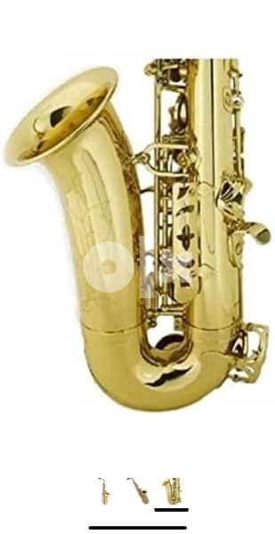 Suzuki - Deluxe Saxophone - ALTO 2