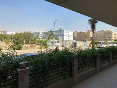 long term lease in Maadi for expats
