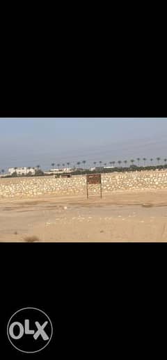 قطعة ارض سكنية او تجارية في منطقة صحراء الأهرام 0