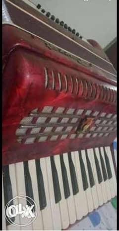 اكورديون (باوروت) الاصلي كبير 32 باص accordion 0