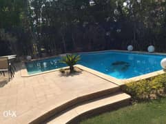 D-29: Separate villa in El wrod district High Lux ​with swimming pool 0
