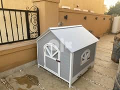 dog house بيت كلب