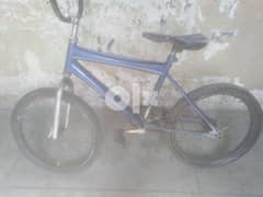 دراجه حلوه 0