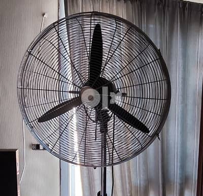 big fan 4sale