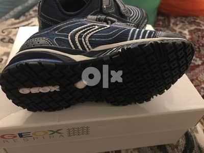 Geox child shoe bm new size 25  جيوكس اولاد اصلى جديد لم يستخدم مقاس٢٥