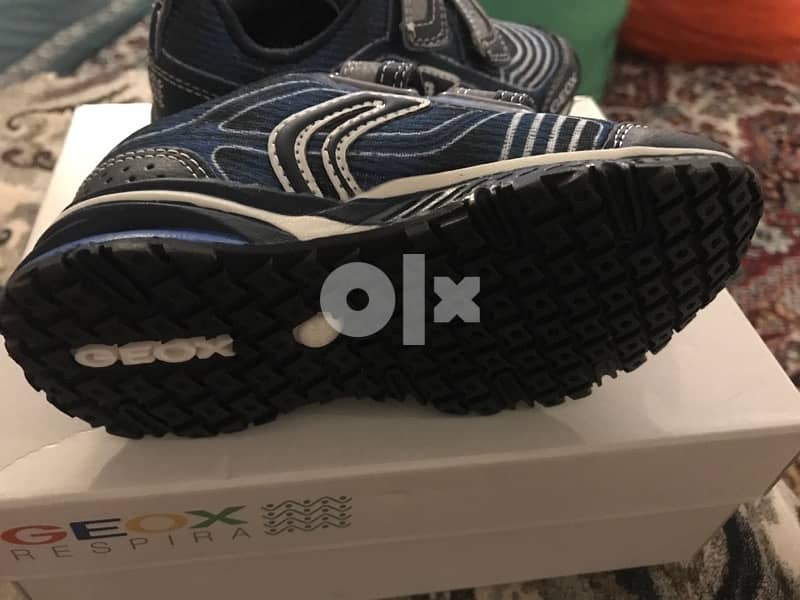 Geox child shoe bm new size 25  جيوكس اولاد اصلى جديد لم يستخدم مقاس٢٥ 0