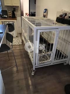 dogs cage