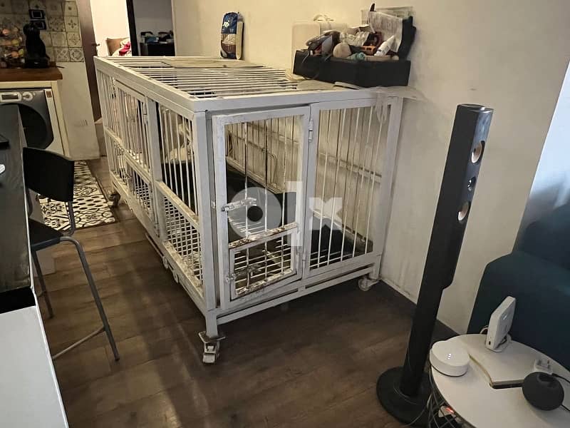 dogs cage 1