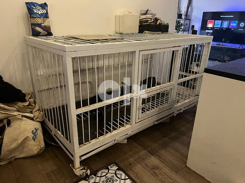 dogs cage 2