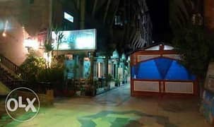 مطعم 700 متر للبيع في بحري ابو العباس 0