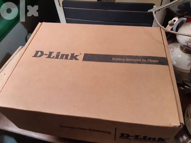 D-Link Systems DPH150SE Versions 2.0 + cabinet for wires free 2