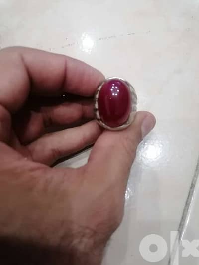 معاذ وليد