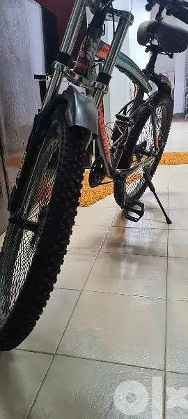 phoenix bicycle Phoenix bicycle65599562469249121