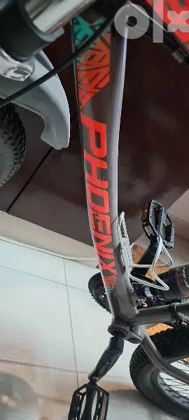 phoenix bicycle Phoenix bicycle65599562469249122