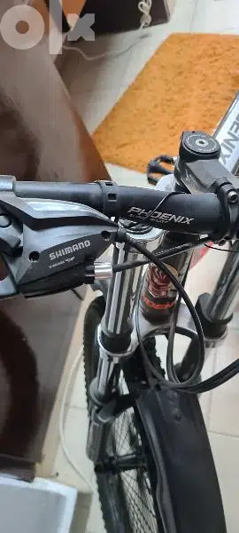 phoenix bicycle Phoenix bicycle65599562469249123