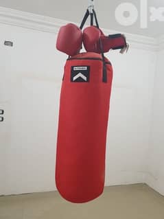 boxing bag and gloves ملاكمة