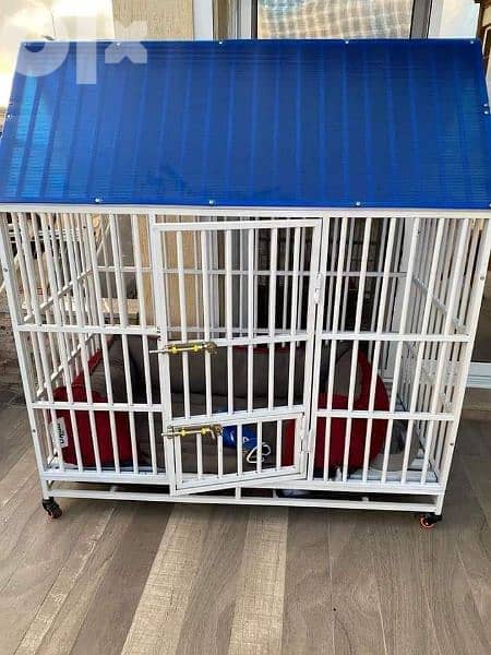 cages for dogs and cats 1