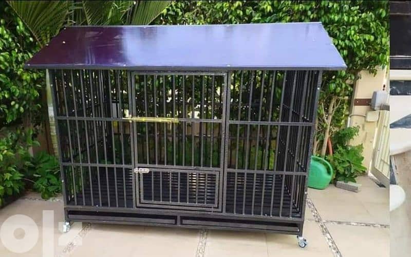 cages for dogs and cats 2