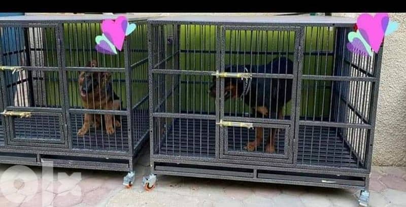 cages for dogs and cats 7