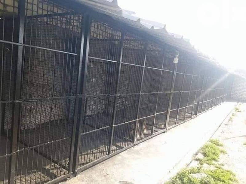 cages for dogs and cats 10