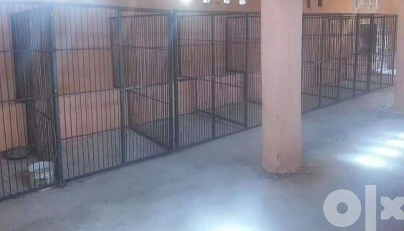 cages for dogs and cats 11